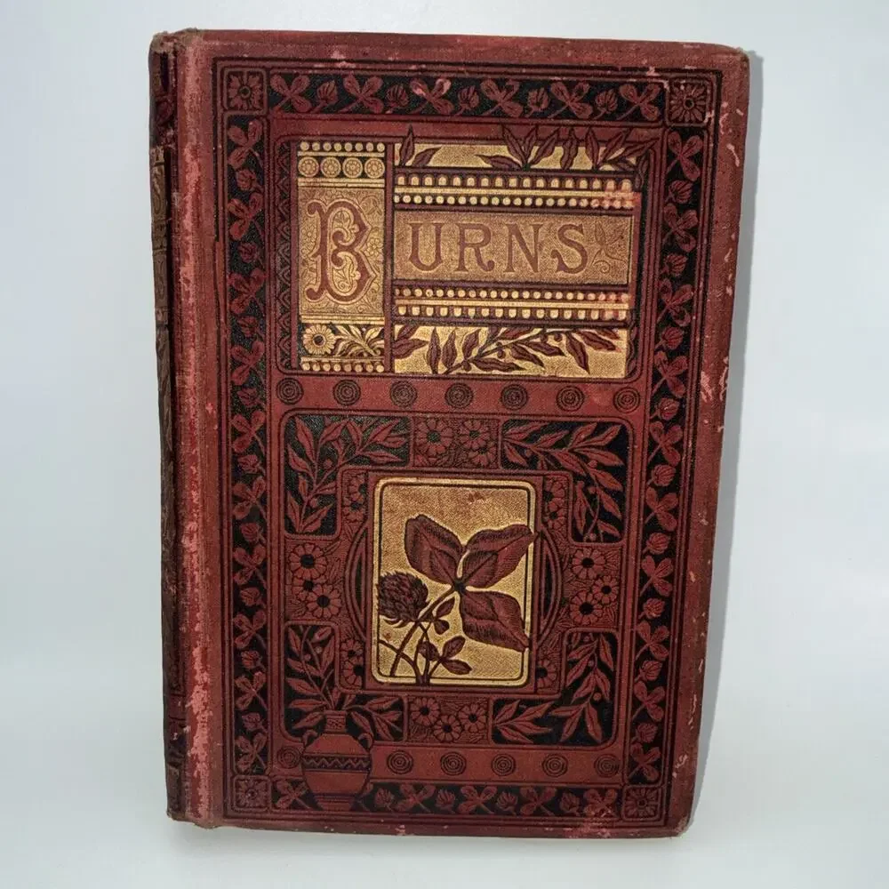 1881 THE POETICAL WORKS OF ROBERT BURNS Antique Decorative Victorian Poetry Book